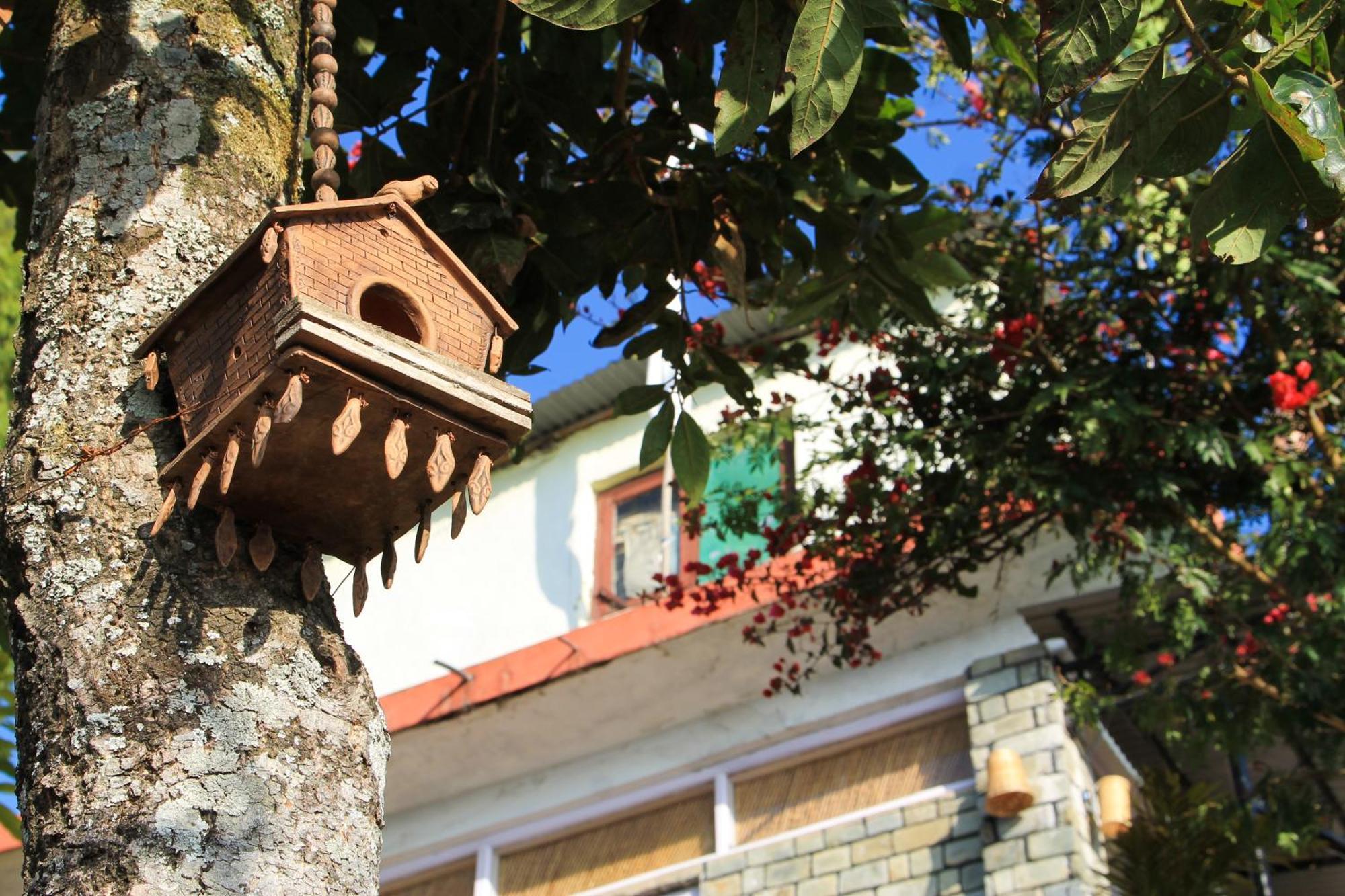 فندق Raniban Retreat بوكْرا المظهر الخارجي الصورة
